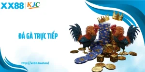 Đá Gà Trực Tiếp XX88 - Xem Rõ Từng Đòn, Vào Kèo Chuẩn Nhịp